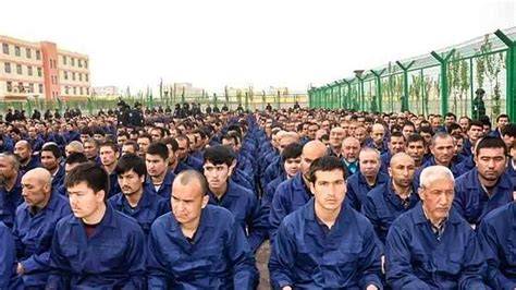 nike oeigoeren|China Uighurs 'moved into factory forced labour' for foreign .